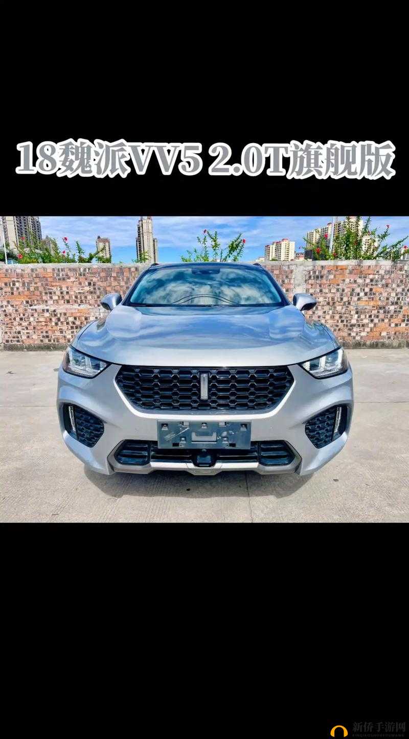 Wey-VV5 国产的 SUV：彰显国产汽车魅力的卓越之选