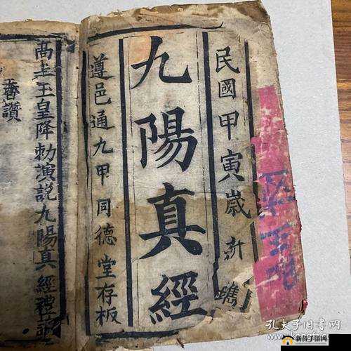 九阳神功领地战深度解析，揭秘制胜战术秘本，登顶武林之巅的终极攻略