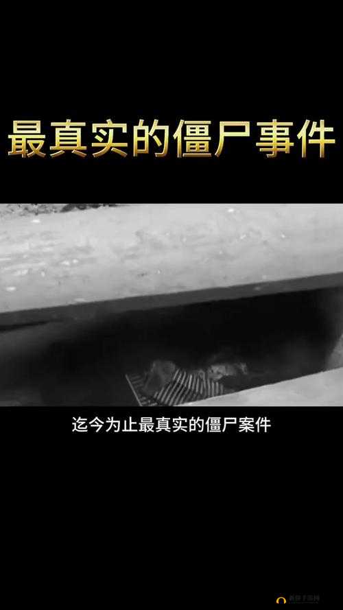 海角绿帽大神在线观看：独特视角揭秘神秘事件