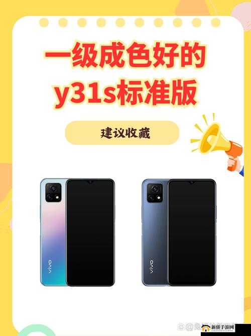 成色好的 y31s 标准版人民网：一款备受青睐的手机在人民网引发关注