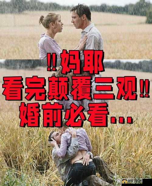 女人与公豬交交 30 分钟：探究人性与欲望的极限