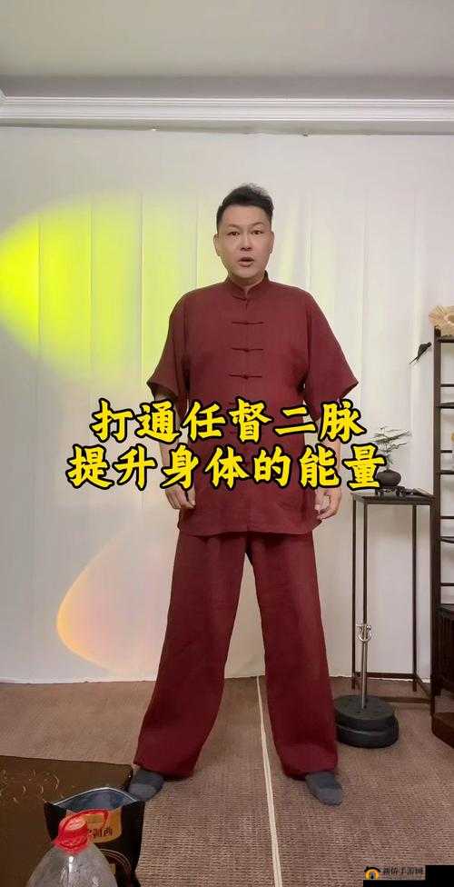 暴走群侠传深度解析，修炼之旅的关键词与任督二脉打通策略