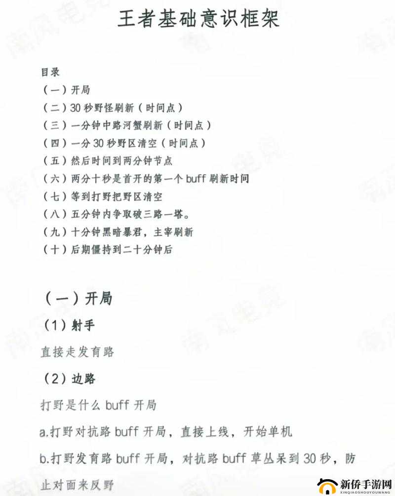 王者荣耀高端技巧，详尽卡视野教学攻略，掌握后助你轻松提升段位上分
