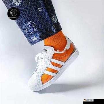 三叶草 fy7717 的独特魅力与精彩故事