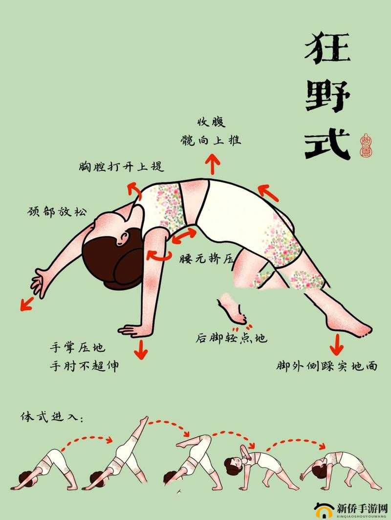 两种进入狂野式的方法有哪些随时进行点播：详细解析