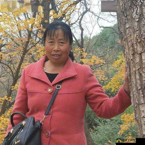 东北 46 岁老女人华文的别样人生经历