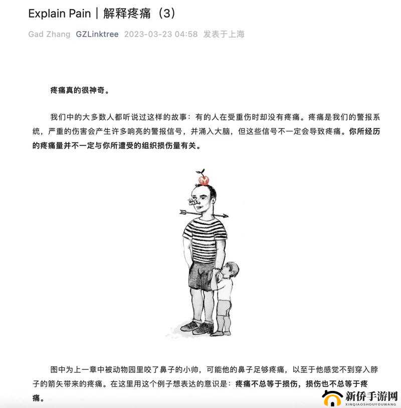 疼痛之轮 WHEEL OF PAIN：关于其神秘力量与深刻影响的探究