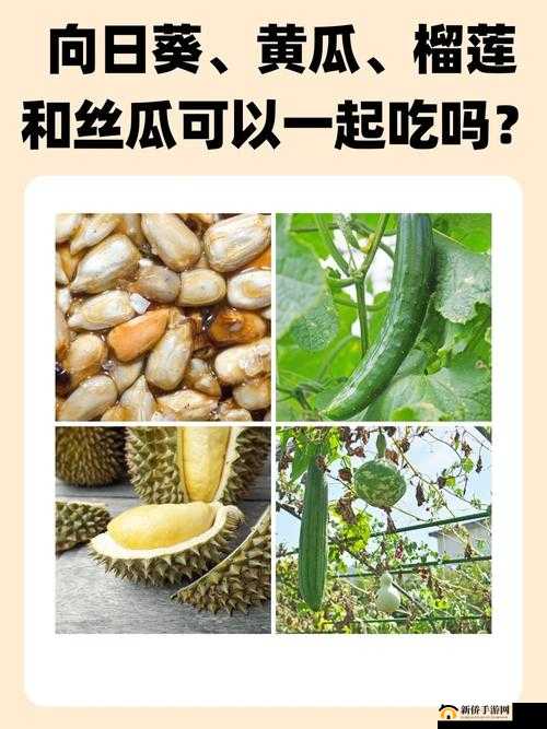 奇妙的蔬菜、水果和美食搭配：茄子、丝瓜、向日葵、黄瓜、榴莲和鸭脖的奇妙组合