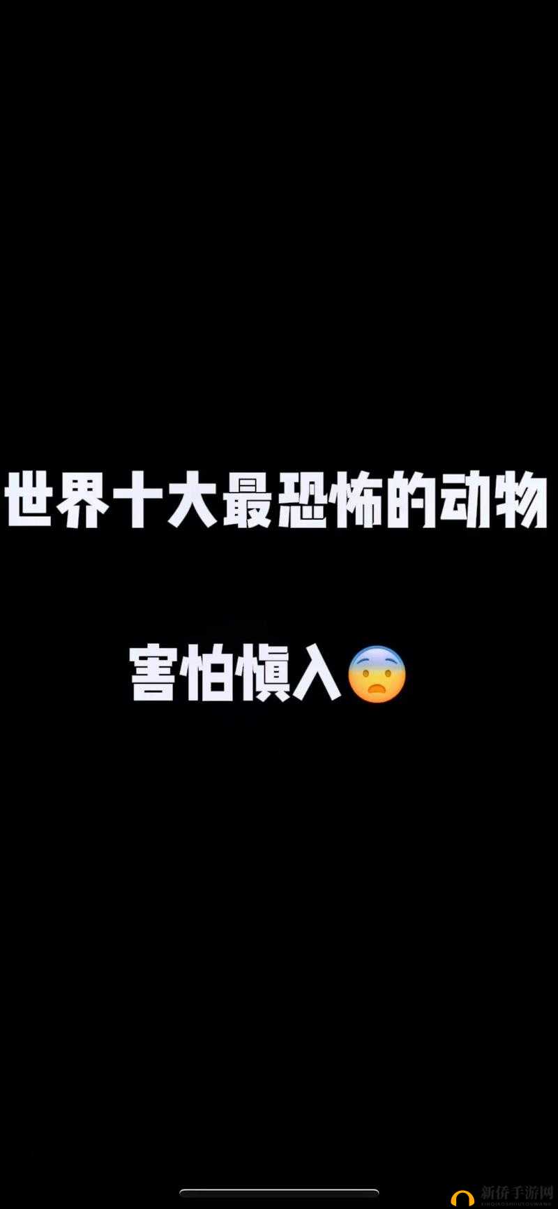 YW193COC 龙物永不失联：带你探索神奇的未知领域