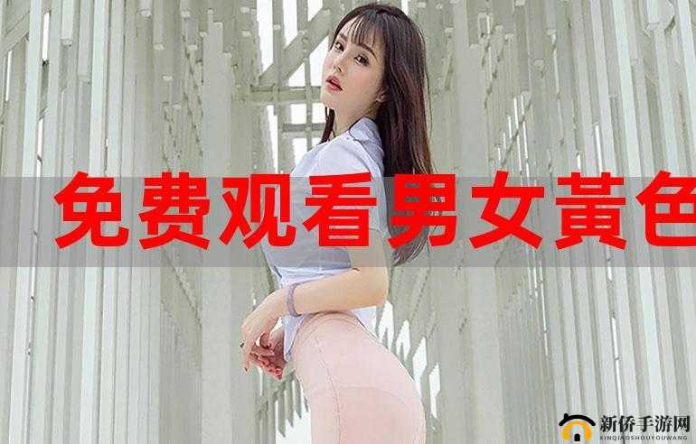 B站视频免费看软件：畅享海量精彩无需付费