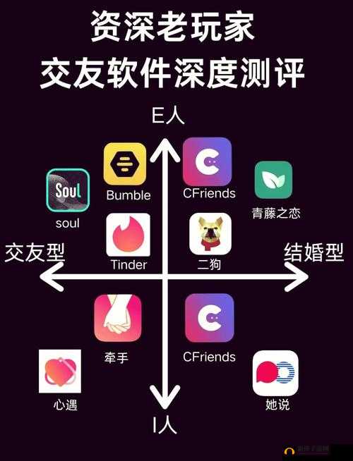 比较开放的免费社交软件：带你走进全新社交世界