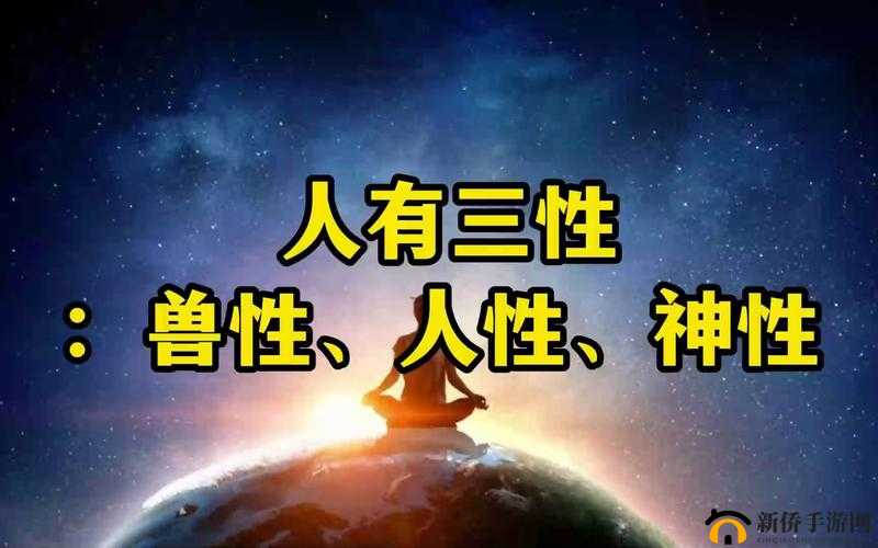 人与嘼 2：一场关于人性与兽性的深刻探讨