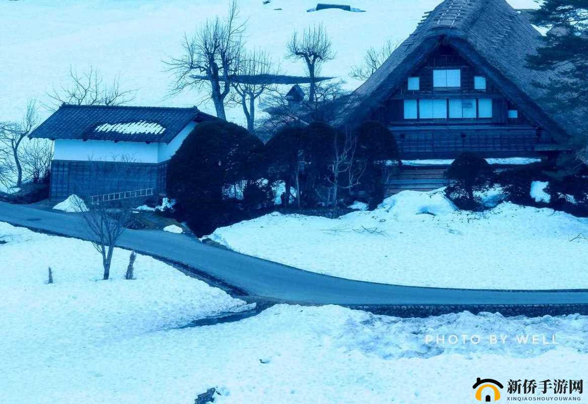 zzjⅰzzji 日本亚：探寻其独特魅力与背后的故事