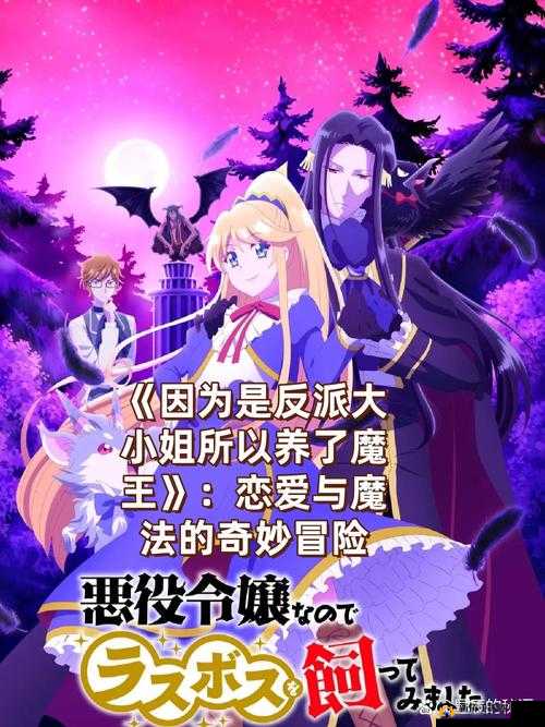 动漫爱好者齐聚一堂分享各自的热爱与心得