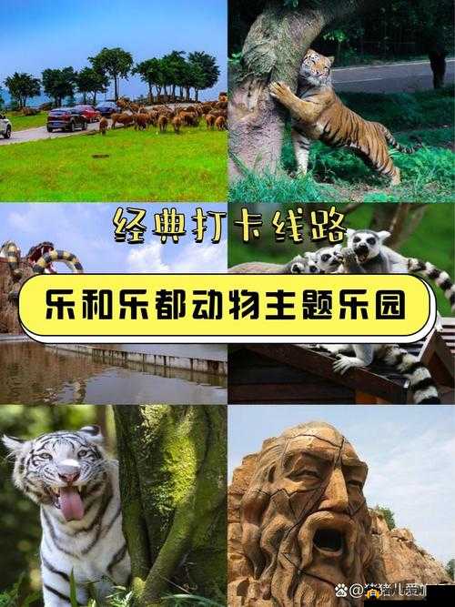 ZoomZookeeper 动物：带你走进神奇的动物世界