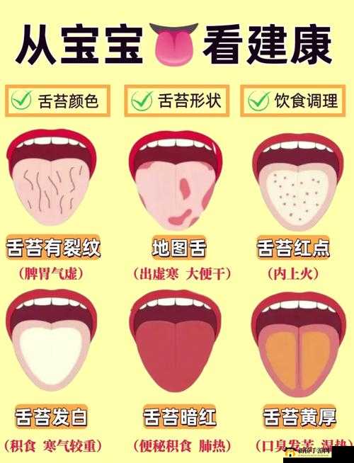 在家里有哪些东西可代替舌头进行相关探索