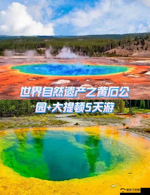 XXXXX：探索未知的神奇之旅