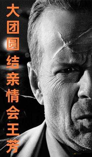 大团圆结 2 王芳之最终迎来幸福美满结局