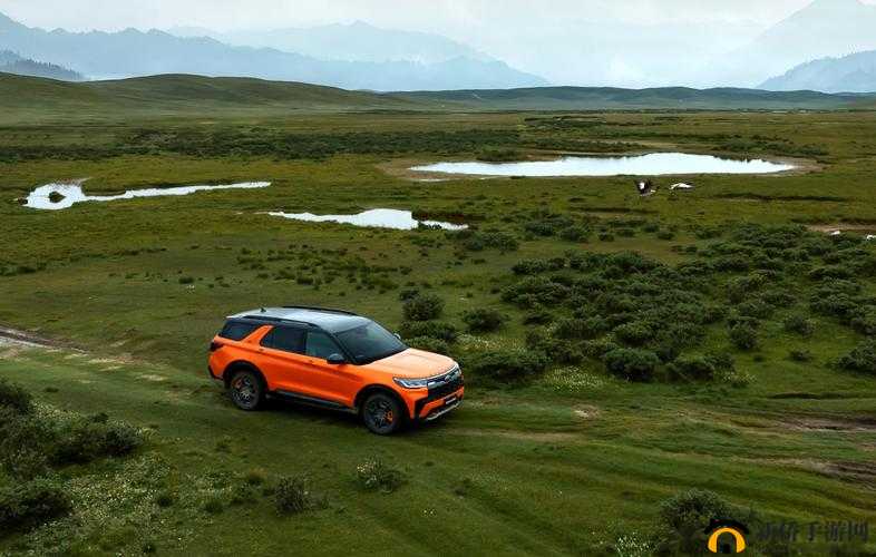 欧美无人区码SUV：带你探索未知的荒野之旅