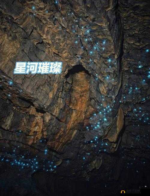 亚洲蝌蚪窝：探索亚洲文化的神秘之旅
