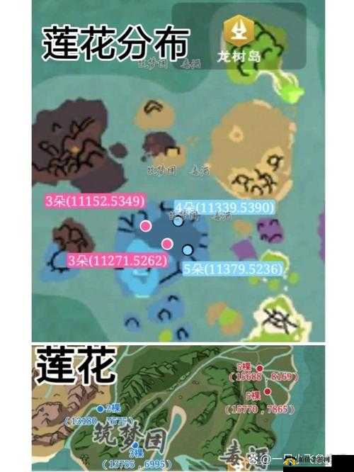 创造与魔法游戏全面探索，揭秘蓝莲生长位置与获取攻略