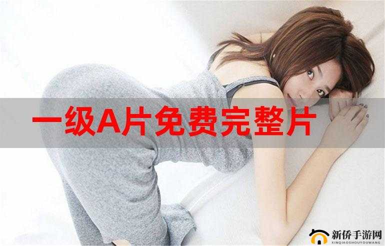 成人免费片库精彩资源大放送