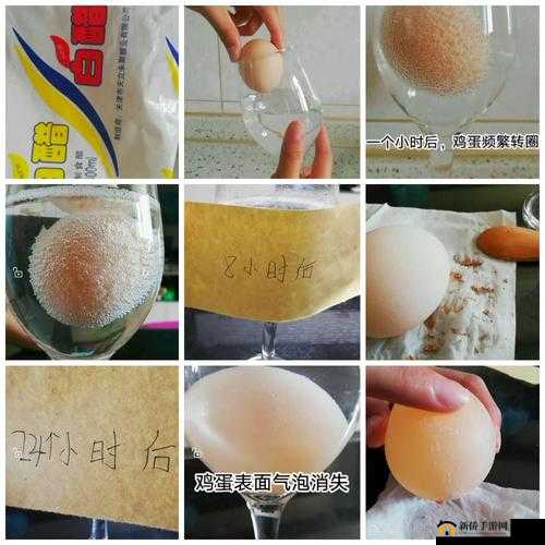 嗯吃扭快活水舔带来的别样奇妙体验