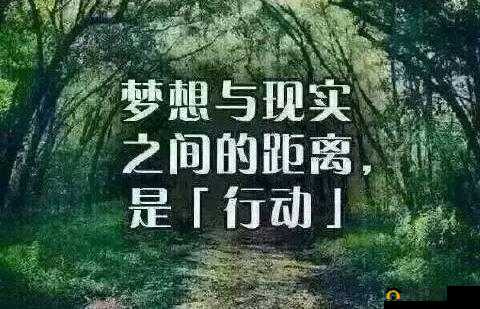 t66t cl1024 2024：一场关于梦想与现实的探索之旅