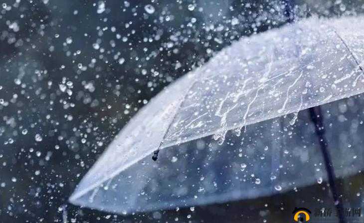 外回り中に突然の大雨一雨宿重新站起来了：经历风雨后的新生