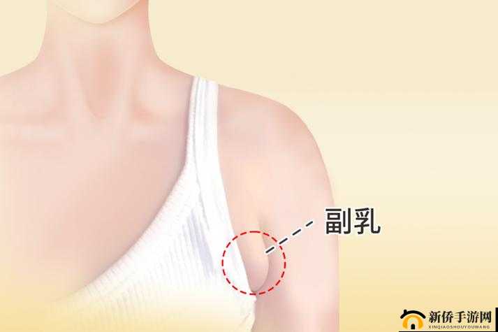奶头好大别吸了老师 H：探讨教育与伦理的边界