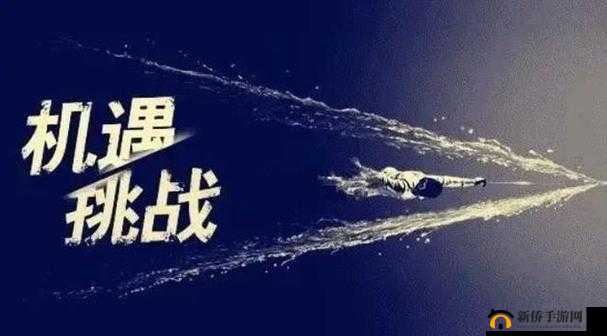 做到一半不知换了谁：工作连续性的挑战与应对