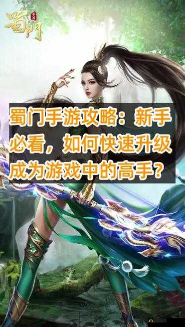 蜀门手游高效升级秘诀，掌握资源管理艺术，加速角色成长之路