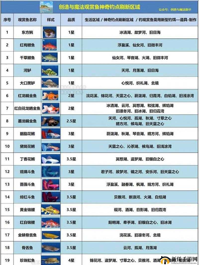 创造与魔法游戏中如何获取并养殖鱼缸观赏鱼的详细步骤指南