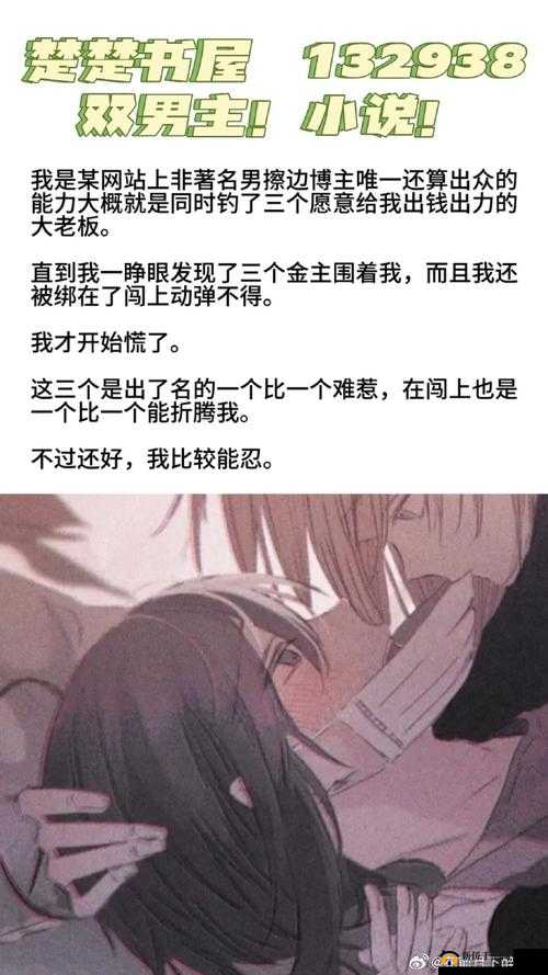 双男主 1v3 上岸：他们如何在复杂情感中突出重围成就自我