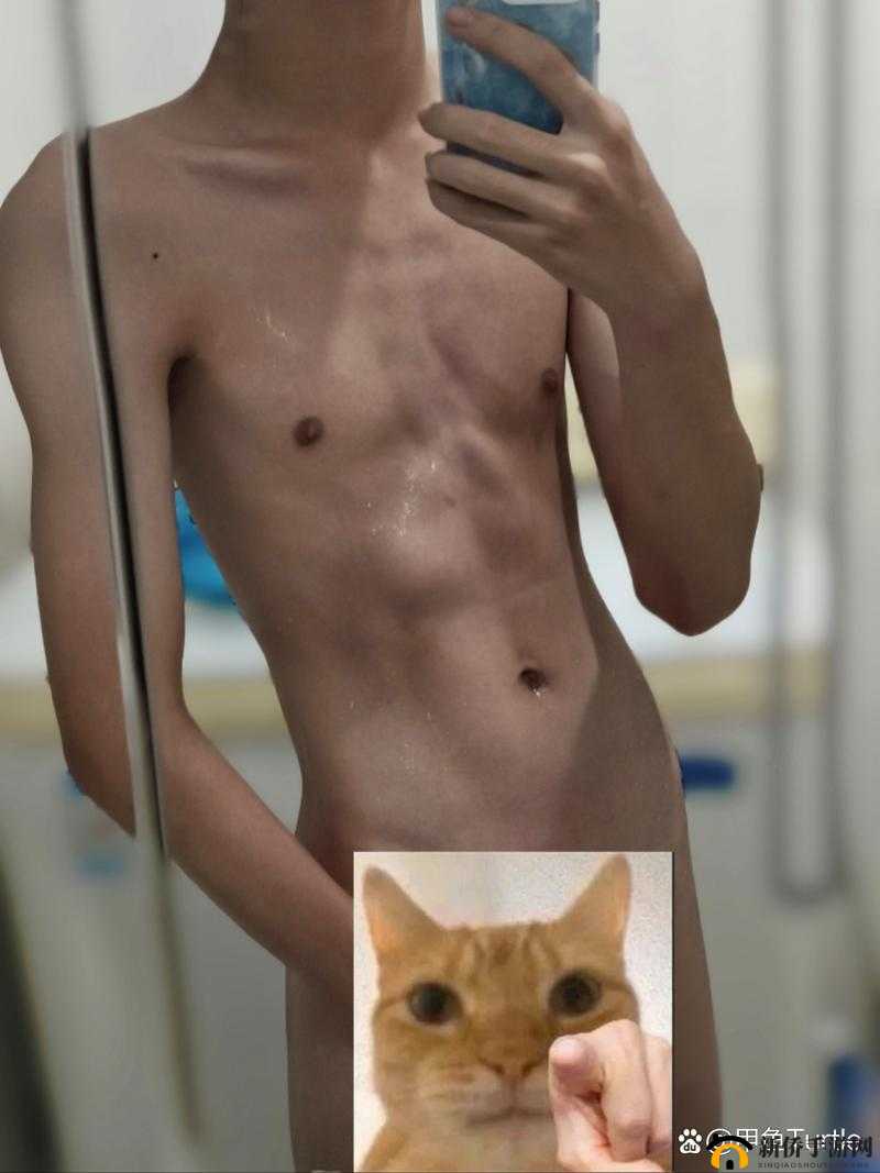 GAY 帅哥男男网站：探索独特魅力的精彩世界