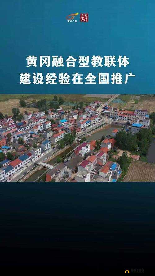 外国黄冈网站推广平台：专业服务，助您拓展国际市场