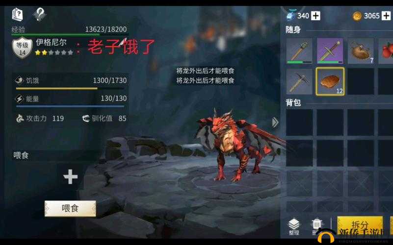 冰原守卫者龙装备分解全面教程，掌握资源管理的高效艺术与技巧