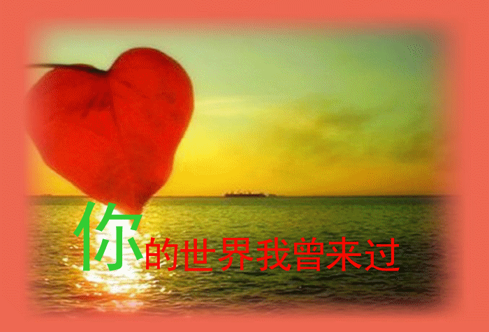 男女之间的唏唏哩哩动态之情感世界的奇妙变化与探索