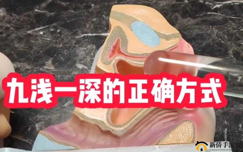 九浅一深与左三右三如何搭配的技巧探讨