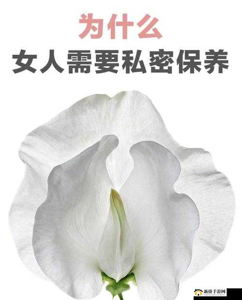 蜜桃皇后私密紧致：开启专属的私密呵护之旅