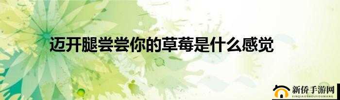 迈开腿吃草莓：让健康与美味同行的美好生活方式