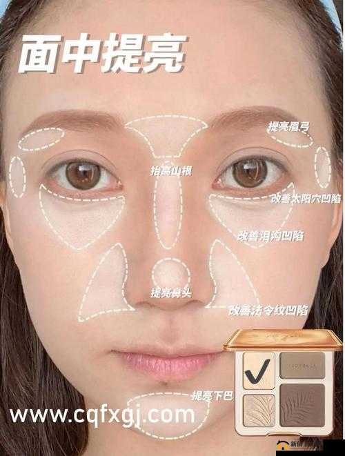 成全视频观看技巧与方法曝光全解析