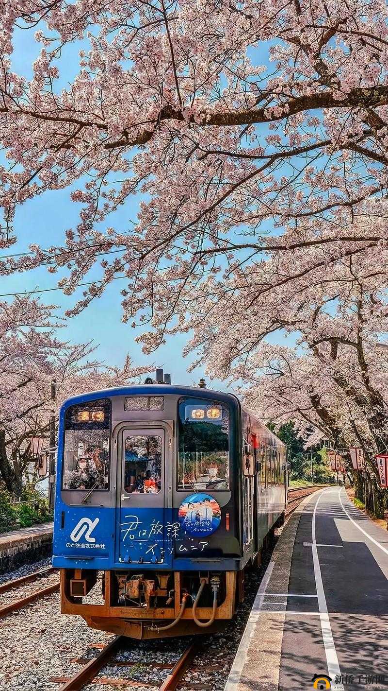 想和我换个地方做樱花吗？让我们一起踏上浪漫之旅