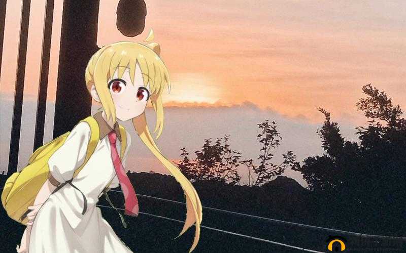 免费进入 b 站哔哩哔哩：畅享精彩二次元世界的便捷通道