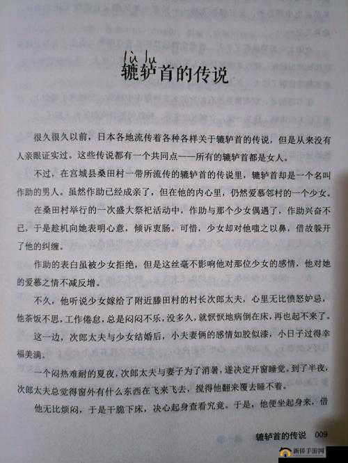 1819 岁 macbook 日本：关于青春与科技的故事