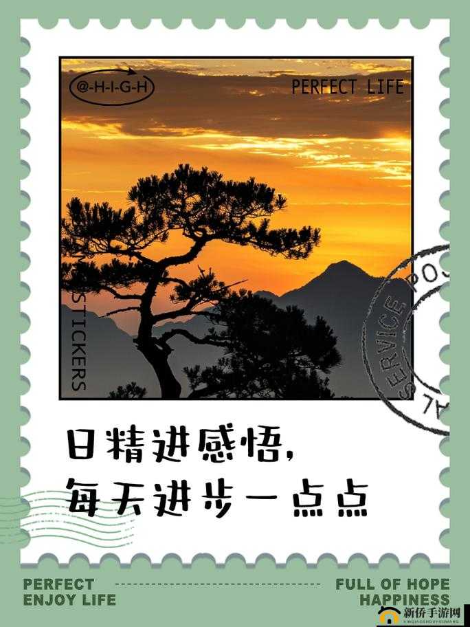 日日精进久久为功：持之以恒追求卓越成就未来