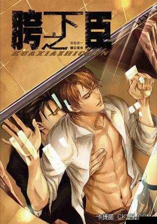 驭房之术全文免费阅读笔趣阁：提供优质免费阅读体验