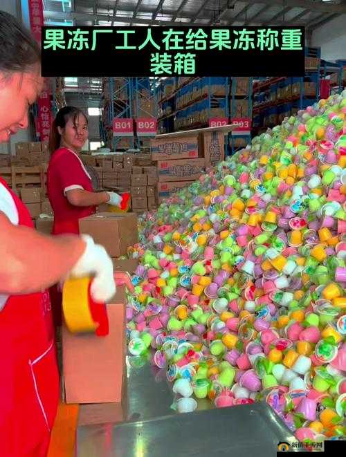 9I 果冻制作厂革命：关于其发展历程与重要意义的深入探讨