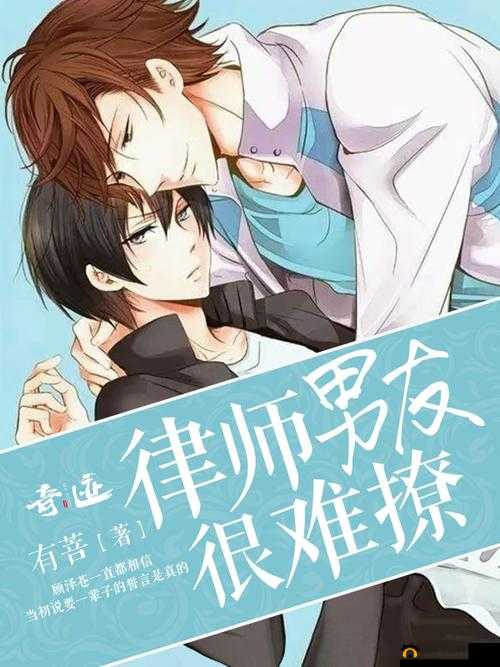 律师男友超难撩 1V1 阅读别样精彩