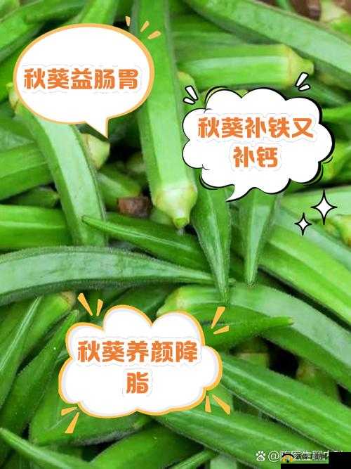 秋葵适合未满十八岁的人吃吗：相关研究与解析